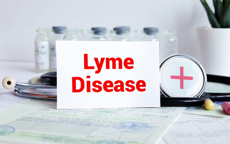 What Lifestyle Changes Can Support Lyme Disease Recovery?
